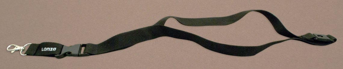 Lanyard