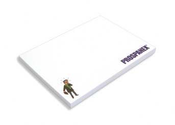Hafti 100x75mm, FSC-Papier 4-farbig bedruckt 