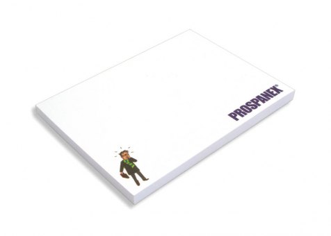 Hafti 100x75mm, FSC-Papier 4-farbig bedruckt 
